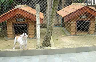 Canil Ville San - Foto 1