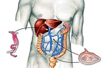 Instituto de Gastroenterologia E Endoscopia - Foto 1