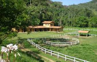 Haras Cunha Pará - Foto 1