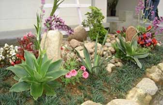 Lm Jardinagem - Foto 1