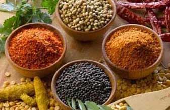 Vita Tec - Foto 1