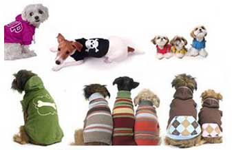 Stop Pet Shop - Foto 1