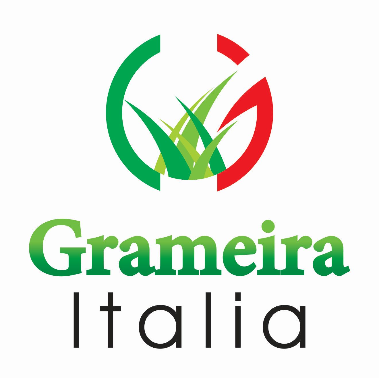 Grameira Italia - Foto 2