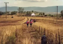 Defesa Civil Municipal