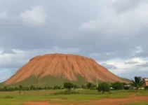 cursos gratuitos de formação artística