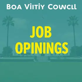 Concurso Câmara de Boa Vista