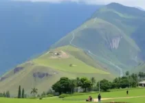 concursos Roraima