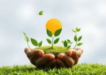 conscientização ambiental