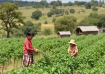 Dia de Campo em Hortifrúti