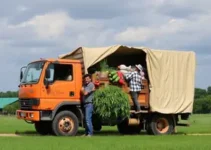 agricultura familiar