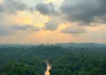 Amazônia Que Eu Quero