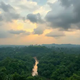 Amazônia Que Eu Quero