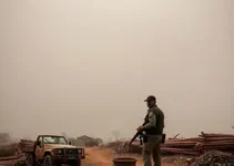 comércio ilegal de cobre