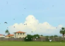 previsão do tempo em Boa Vista