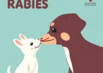Campanha Antirrábica