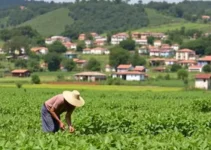 linha agro