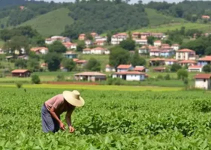 Últimas noticias de Boa Vista