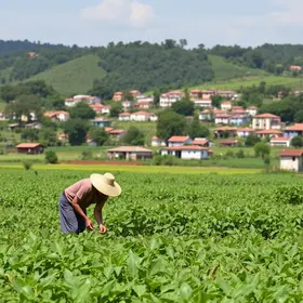 linha agro