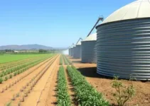 irrigação para agricultores
