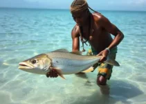 tambaqui