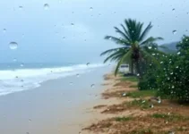 semana chuvosa em boa vista