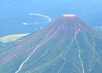 Síndrome Respiratória Aguda Grave