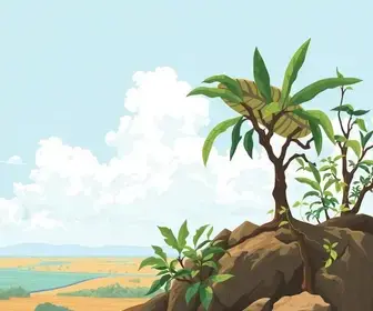 Frente climática de Boa Vista